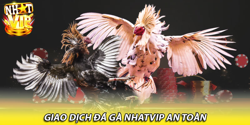 Giao dịch đá gà Nhatvip an toàn